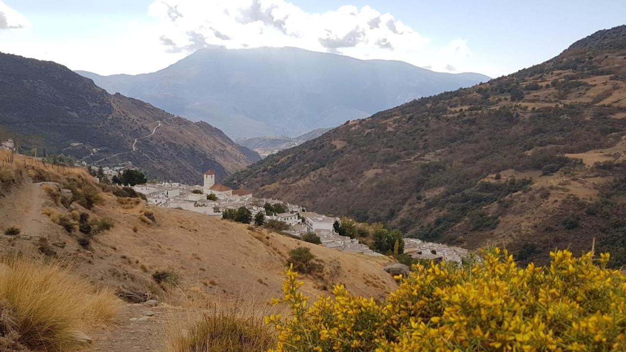 B&B La Granadilla Cónchar Dış mekan fotoğraf