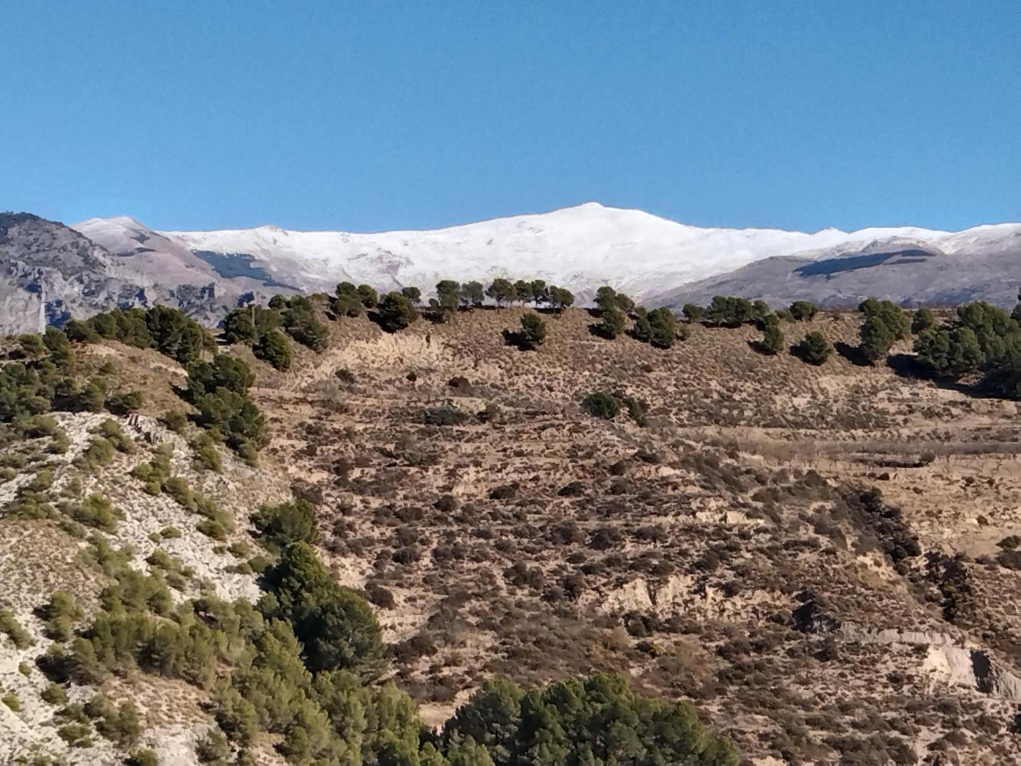 B&B La Granadilla Cónchar Dış mekan fotoğraf